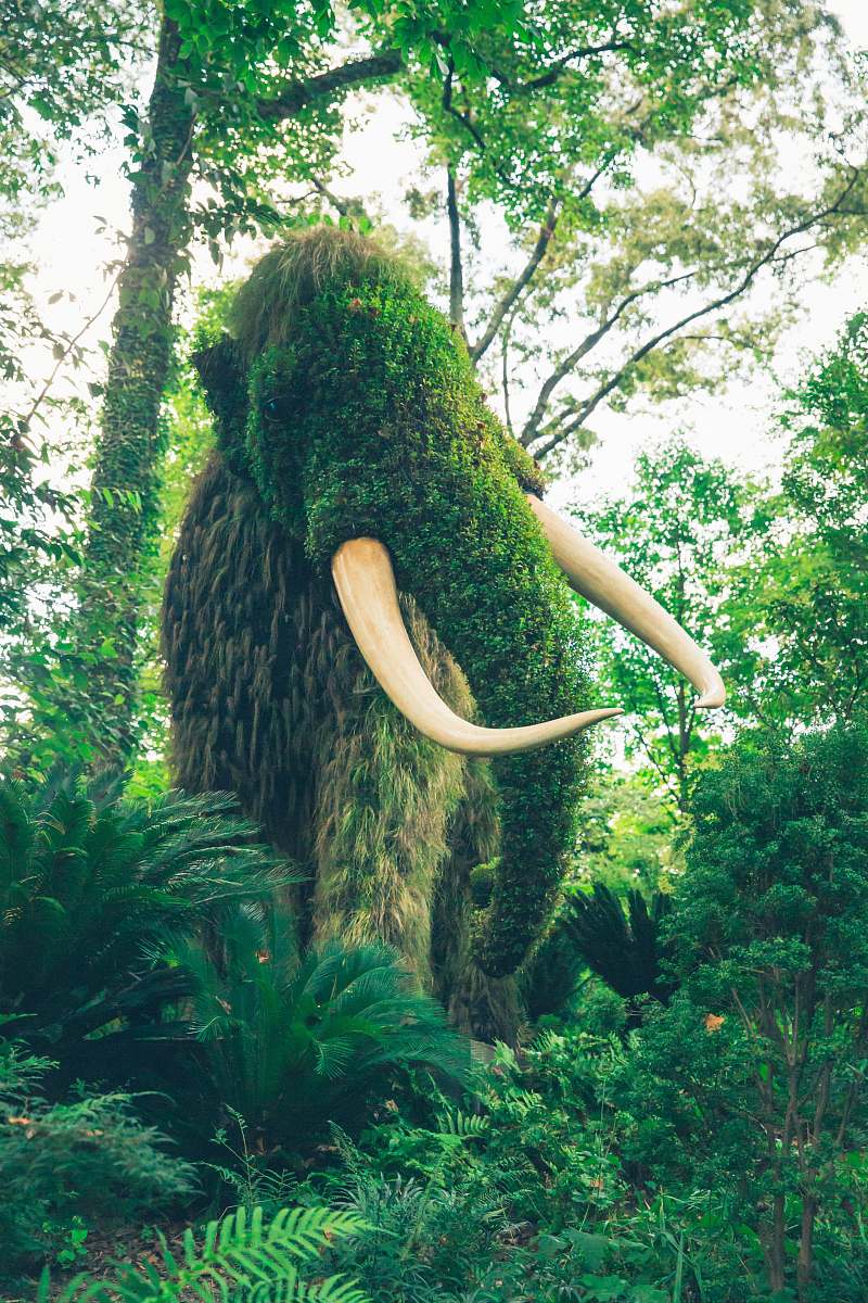 atlanta mammoth atlanta botanical garden